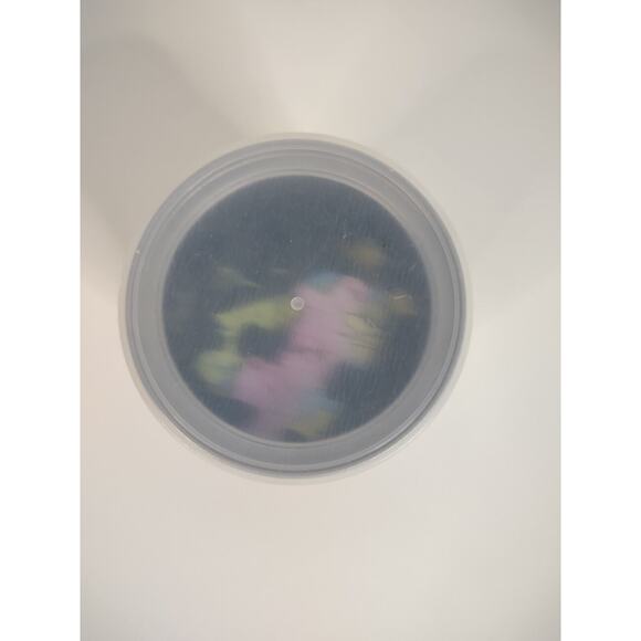 Texas State 100 Piece Magnetic Jigsaw Puzzle Geotoys Complete * - Picture 6 of 7